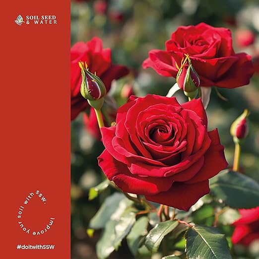 Cultivator's Rose Blend Concentrated Organic Soil Amendment Fertilizer for Roses Rosa Rosaceae - OMRI Listed (9 lbs)