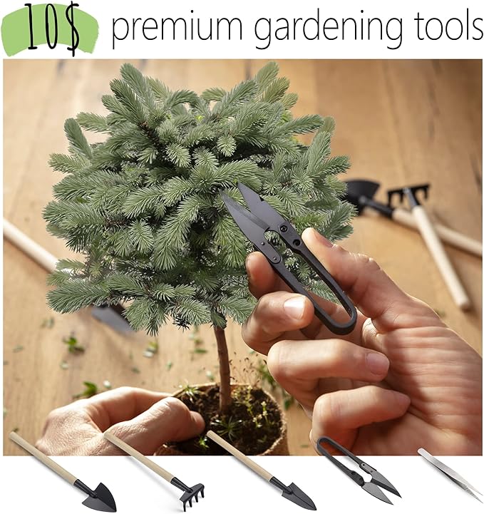 Bonsai Starter Kit – 2X Bonsai Tree | Complete Indoor Starter Kit for Growing Bonsai Plants with Tools & Planters – Gardening Gifts for Women & Men