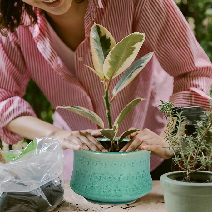 FFPOPU 3-Packs Ceramic Bonsai Pots with Drainage Tray, 6-inch Cute Bonsai Tree Pot with Ice Cracked Glaze, Small Bonsai Planter Pot for Desktop Decoration