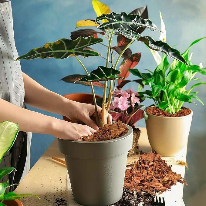 Halatool 8 Pcs Coconut Coir Chips for Plants - 8.8 LB 100% Organic Coco Husk Chip Bricks with Low EC and pH Balanced, Compressed Coco Substrate Growing Mulch Medium for Garden Herbs, Plants, Flowers