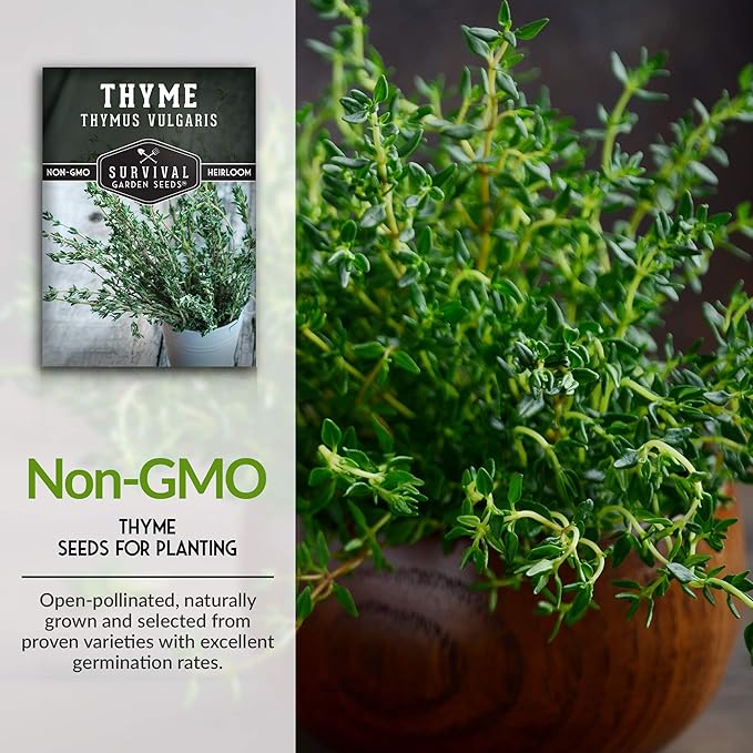 Survival Garden Seeds - Thyme Seed for Planting - 3 Packs with Instructions to Plant and Grow Thymus Vulgaris Herb Plants in Your Home Vegetable Garden - Non-GMO Heirloom Variety - Herb Garden