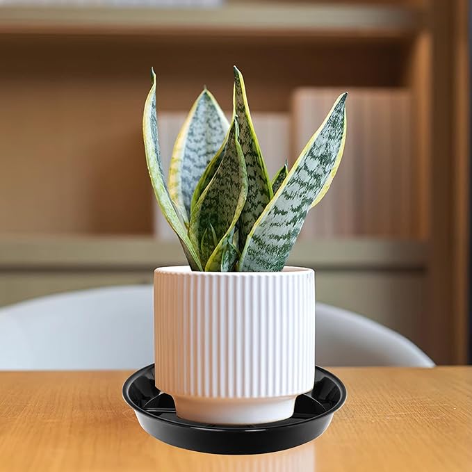 6 Pack Plant Saucer Drip Tray, 4 5 6 8 9 10 12 14 16 18 inch, Heavy Sturdy Plastic Planter Flower Pot Saucers for Indoor Outdoor Garden, Plant Water Drip Trays for pots Base (4", Black)