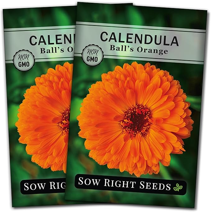 Sow Right Seeds - Ball’s Orange Calendula Seeds for Planting - Non-GMO Heirloom Packet with Instructions to Plant a Home Garden - Medicinal Orange Blooms That Pollinators Love - Grow Herbal Tea (2)