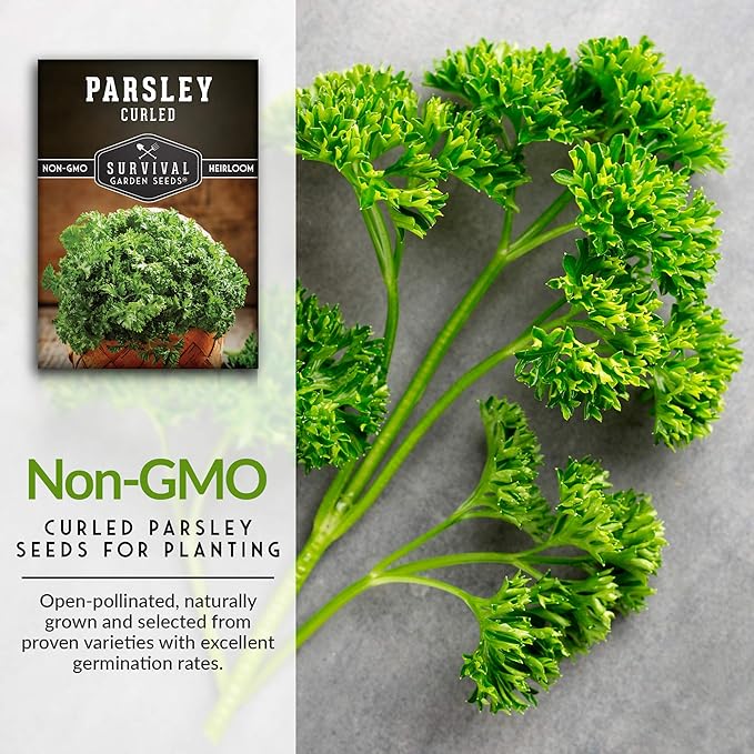 Survival Garden Seeds - Curled Parsley Seed for Planting - Packet with Instructions to Plant and Grow Nutritious Curly Parsley Herb Plants in Your Home Vegetable Garden - Non-GMO Heirloom Variety