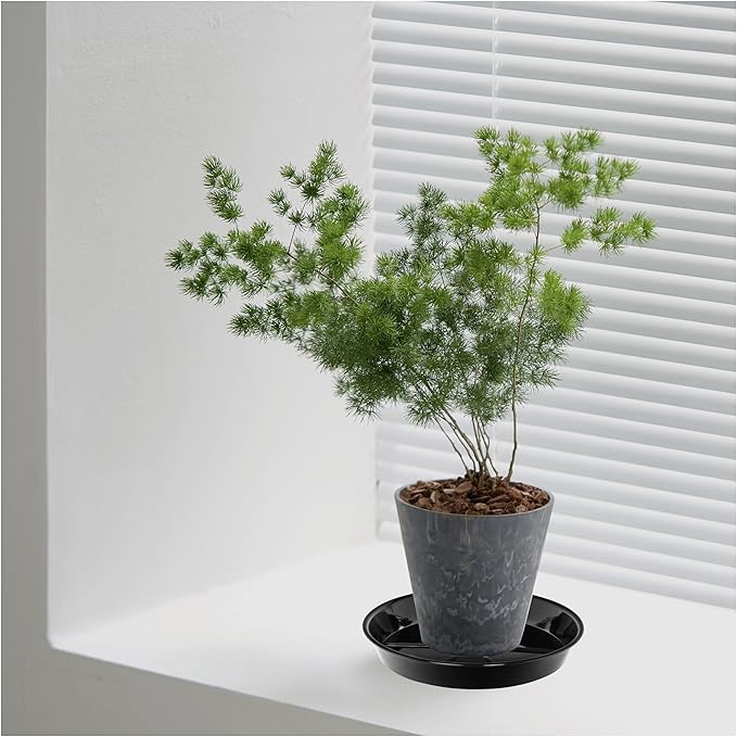 2 Pack Plant Saucer Drip Tray 13 14 inch, Large Heavy Sturdy Plastic Planter Flower Pot Saucers for Indoor Outdoor Garden, Plant Water Drip Trays for pots (14" 2Pack, Black)