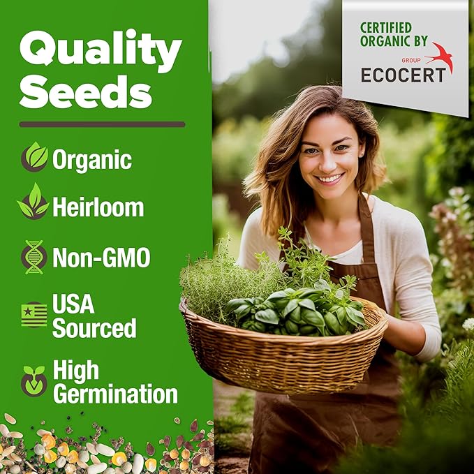 HOME GROWN 15 Organic Herb Seeds Variety Pack 2,500+ Non GMO, High-Germinating, Heirloom Seeds for Planting Indoor or Outdoor Herb Garden, Hydroponics Garden Seeds, Basil, Cilantro & More