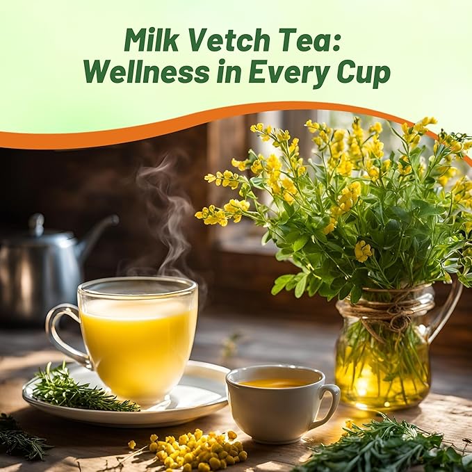 Outsidepride 200 Seeds Perennial Astragalus Milk Vetch Herb Garden Seeds for Planting