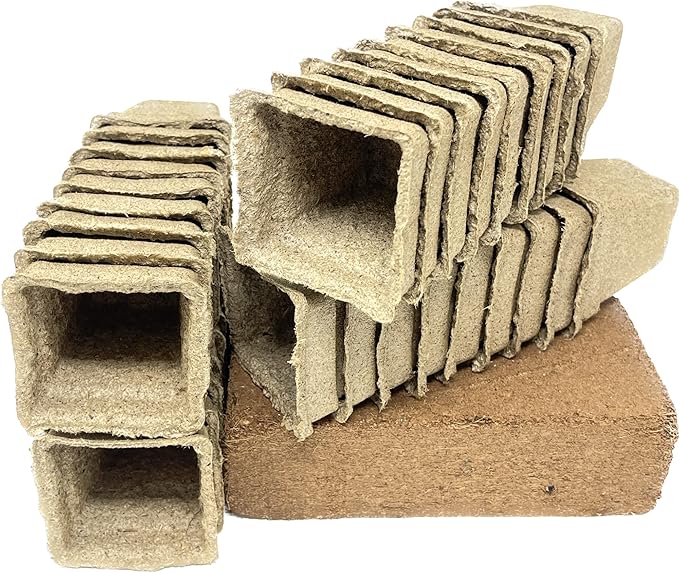 Seed Needs, Sunflower Seed Packet Collection Seed Starting Bundle (Includes 6 Individual Seed Packets, 36 Starter Pots & 1 Expandable Coco Coir Brick) Heirloom, Open Pollinated & Untreated