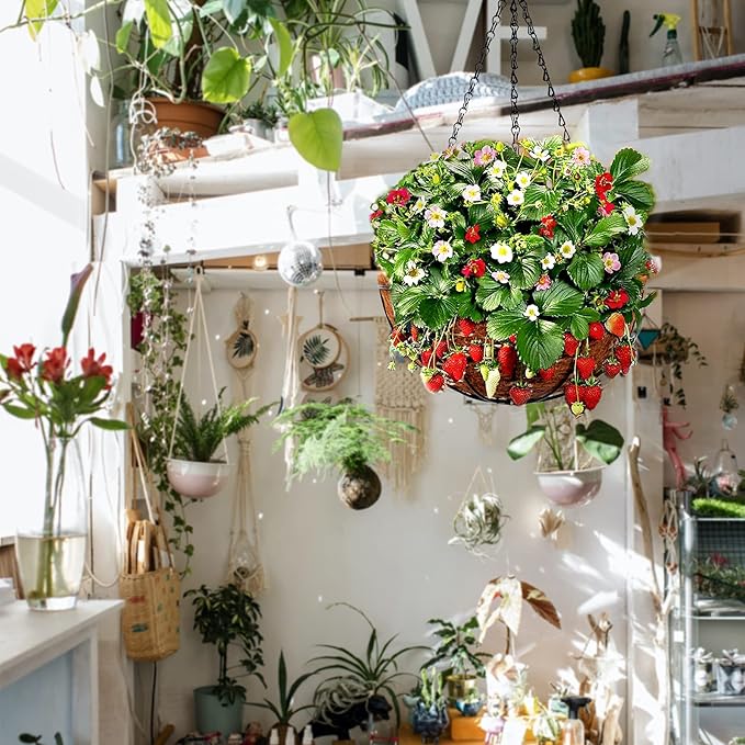 Hanging Baskets for Plants Outdoor(12 inch 4 Pack)- Coconut Coir Hanging Planters Outdoor,Metal Wire Baskets with Coco Liner, Hanging Pots for Plants Indoor, Hanging Flower Pots for Railings