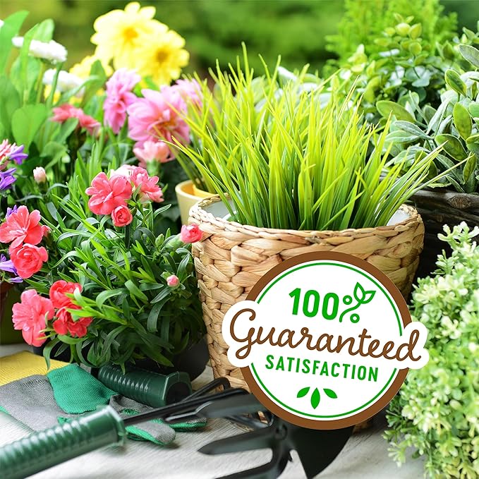 Back to the Roots 100% Organic Vermiculute | Made in The USA | Premium Nutrition for Indoor and Outdoor Plants