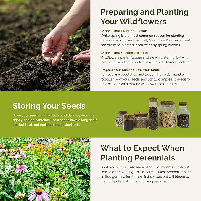 Eden Brothers Northeast All Perennial Wildflower Mixed Seeds for Planting, 1/4 lb, 120,000+ Seeds with Milkweed, NE Aster | Attracts Pollinators, Plant in Spring or Fall, Zones 3, 4, 5, 6, 7, 8, 9, 10