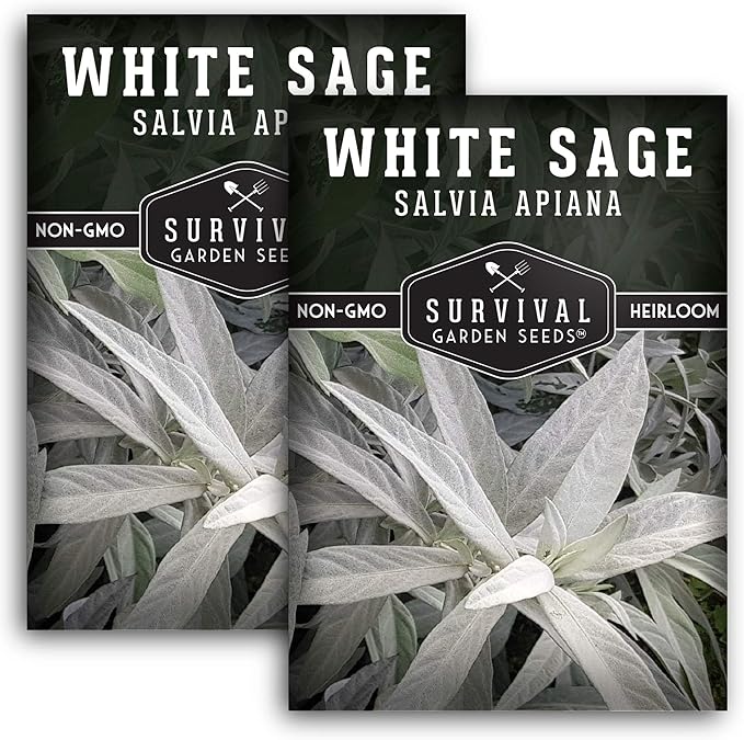 Survival Garden Seeds - 2 Packs White Sage Seed for Planting - Grow Sustainable Smudging Herbs - Packet with Instructions to Plant & Grow in Your Home Garden - Non-GMO Heirloom Variety