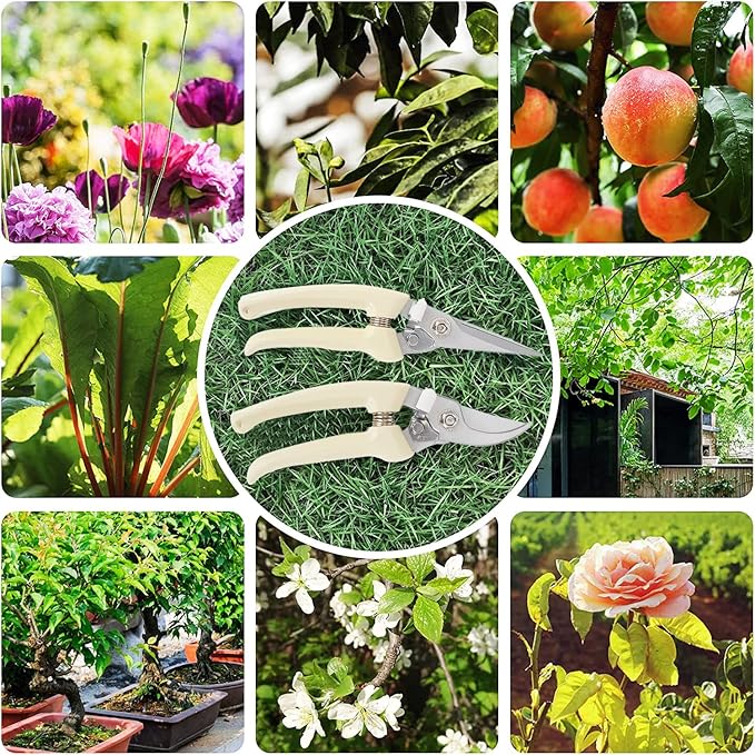 Pruners, pruning shears heavy duty, premium garden scissors for hedge, bonsai, floral, small stem, orchard and vegetable pick, upgraded, gardening tools anvil snips, plant clippers 2 pack