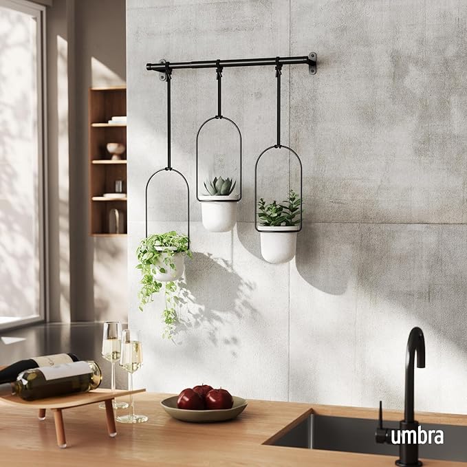 Umbra Triflora Hanging Planter for Window, Indoor Herb Garden, Set of 3, White/Black