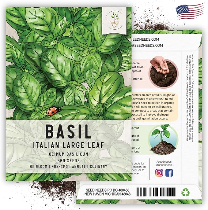 Seed Needs Italian Large Leaf Basil Seeds for Planting - Non-GMO, Heirloom & Untreated - Organically Grow an Indoor or Outdoor Home Grown Herb Garden (1 Pack)