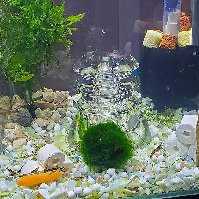 7lb Jade Bean Sand Stone-Succulents and Cactus Bonsai DIY Projects Rocks,Decorative Gravel for Plants and Vases Fillers,Terrarium,Fairy Gardening,Natural Stone Top Dressing for Potted Plants (5mm-8mm)