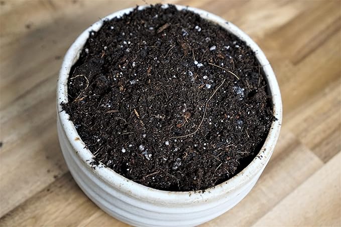 Liqui-Dirt Natural Potting Soil Bio-Organic Mix for Indoor & Outdoor Plants - Ideal for Monstera, Succulents, Orchids, Cactus, and More
