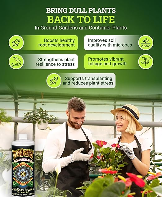 Fox Farm Bushdoctor Boomerang Fertilizer - for Fast Recovery of Stressed Plants, Root Health, Solubilized Nutrition - Perfect for Hydroponic & Soil Application- NPK 2-0.2-0.3, (Quart)