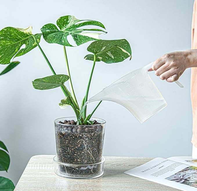 Phoenix Vine 6.5 Inch 4.5 Inch Clear Acrylic Houseplants Planter Pot with Tray, Orchid Pot with Drainage Holes, Deep Saucer for Bottom Watering, Modern Transparent Containers for Indoor Plants, Herbs,