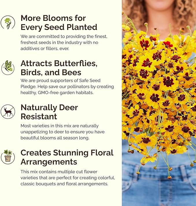 Eden Brothers Southwest Wildflower Mixed Seeds for Planting, 1/4 lb, 120,000+ Seeds with Cornflower, Blanket Flower | Attracts Pollinators, Plant in Spring or Fall, Zones 3, 4, 5, 6, 7, 8, 9, 10
