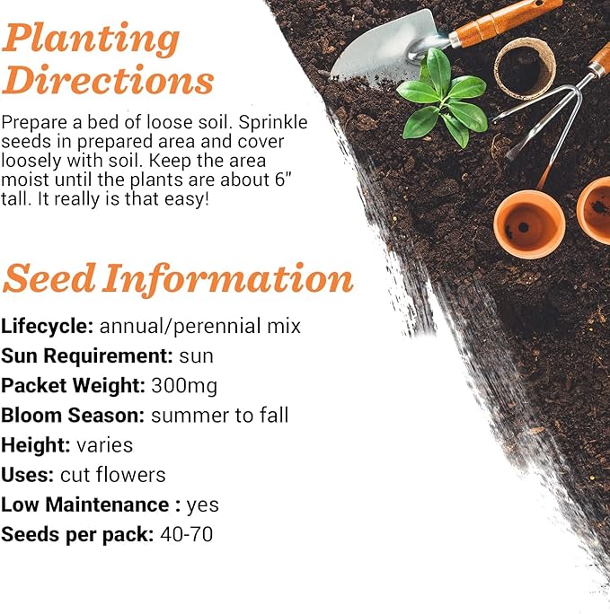 Bentley Oh Baby Wildflower Packets, Bouquet Non-GMO Flowers, What Will You Bee Shower Favors for Guests, 25 Party Favor Seed Packets