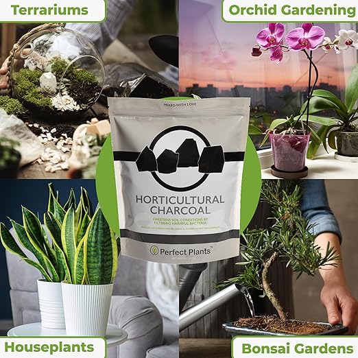 Horticultural Charcoal by Perfect Plants -4qts of Plant Charcoal - Naturally Cleanses, Flushes Toxins and Excess Moisture from Containers and Terrariums