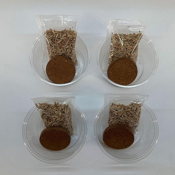 Organic Cat Grass Premium Grow Kit 4 Pack | Non GMO Mixed Heirloom Seeds | Wheatgrass - Oat Grass - Barley Grass Blend