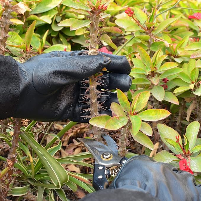 Cactus Gloves, Garden Gloves for Women Men Thorn Proof, Professional Puncture Resistant Gloves for Rose Pruning & Cactus, Long Leather Garden Gloves (Professional Thorn Proof) (Medium, Black)