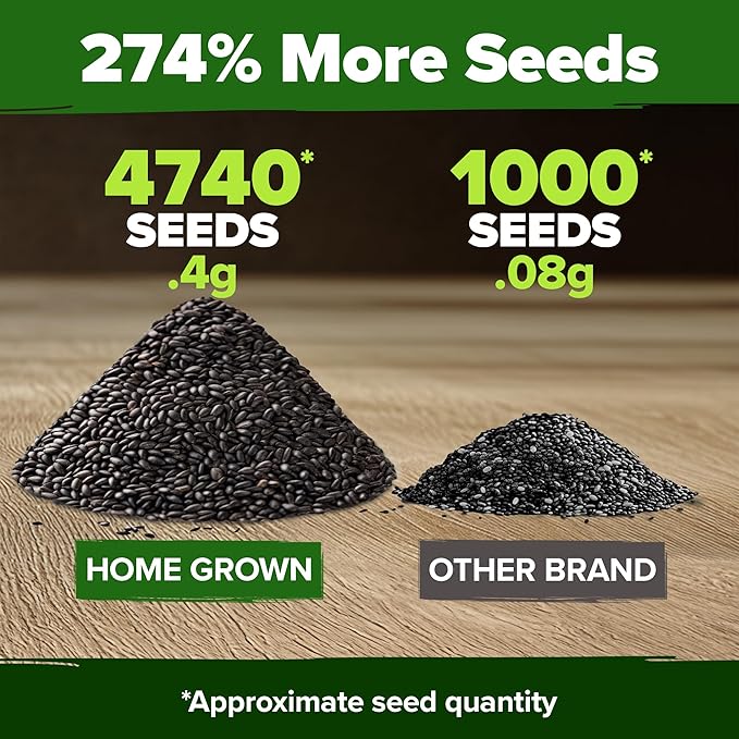 HOME GROWN Peppermint Seeds 2 Pack (Mentha × piperita) – 4,740 Non-GMO, Heirloom Mint Seeds for Planting. Grow Peppermint Plants in Your Kitchen Garden or Plant Them Outdoors for a Lush Herb Garden.