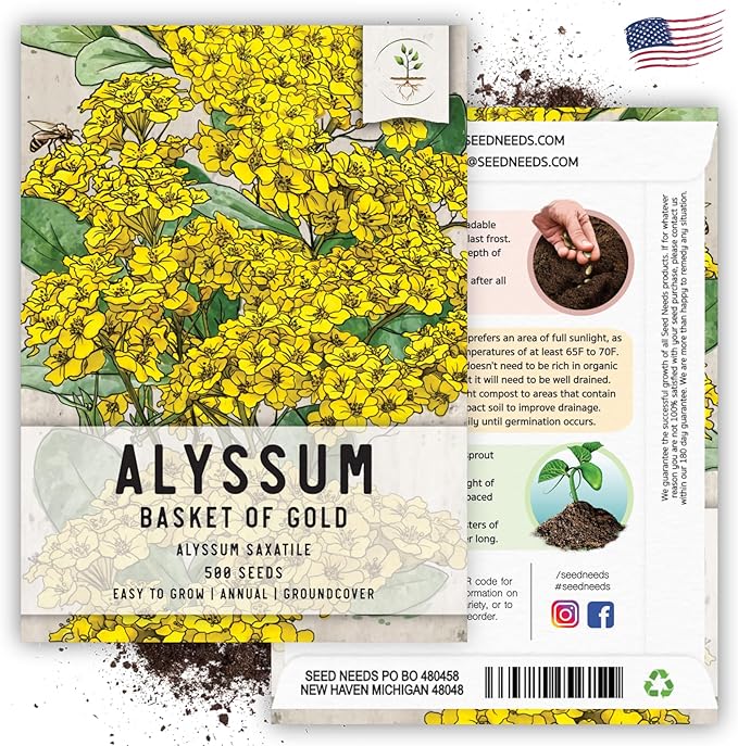 Seed Needs Heirloom Alyssum Flower Seed Packet Collection Variety Pack (Includes 4 Packets) Basket of Gold, Royal Carpet, Dwarf Pink & Carpet of Snow - Perfect for Rock Gardens