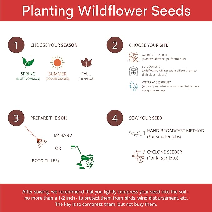 12,000+ Seeds - Protect Monarch Butterflies Wildflower Mix - 27 Wild Flower Varieties - Pollinator - Perennial & Annual Flowers Milkweed, WallFlower, Zinnia - Planting Outdoors Spring, Fall