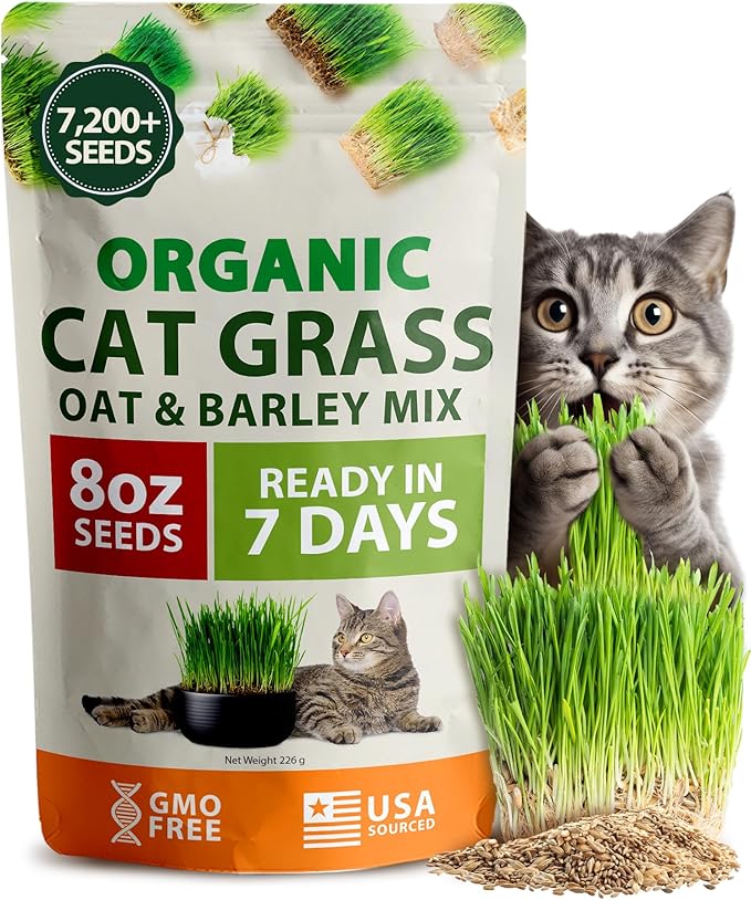 HOME GROWN Organic Cat Grass Seeds Pack 8oz β 7200 π‘π’π‘-ππ π’ π¨π¦π-π¦π’π¨π₯πππ Heirloom Oat & Barley Grass Seeds for Indoor Cats β High Germination Hairball Relief, Pet Grass Ready in 7Days