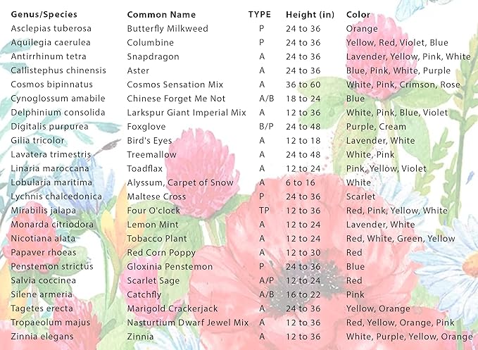 Hummingbird and Butterfly Wildflower Seed Mix, Covers 325 Sq Ft, 23 Flower Varieties, Over 60,000 Seeds - Created By Nature