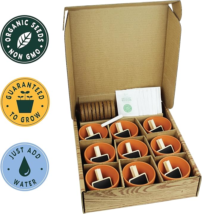 Buzzy 9 Large Terracotta Pot Organic Herb Garden Gift Box, Best Present for Gardeners - Mother's Day or Easter Plant Gift for Mom - Rosemary, Basil and Other Seeds Included in The Indoor Planter kit.