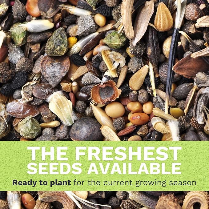 Southwest Regional Mix - Bulk 1/4 Pound Pouch - 60,000 Flower Seeds for Planting - Wildflower Mix