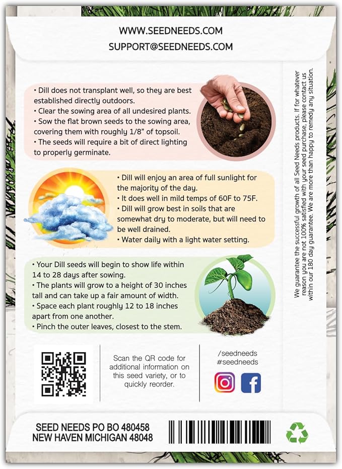 Seed Needs, Bouquet Dill Seeds - 250 Heirloom Seeds for Planting Anethum graveolens - Culinary Herb to Grow Indoors or Outdoors, Non-GMO & Untreated (5 Packs)