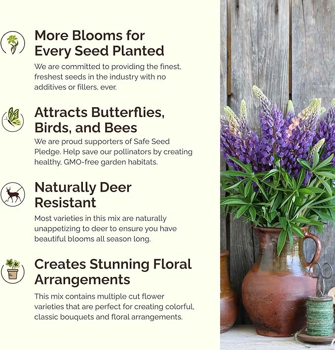 Eden Brothers Midwest All Perennial Wildflower Mixed Seeds for Planting, 5 lb, 2,400,000+ Seeds with Hyssop, Shasta Daisy | Attracts Pollinators, Plant in Spring or Fall, Zones 3, 4, 5, 6, 7, 8, 9, 10