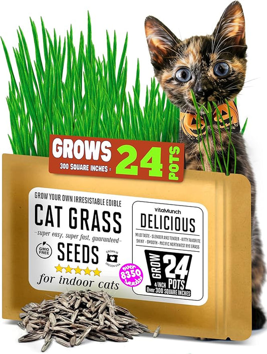 Cat Grass Seeds β Smooth Tasty Ryegrass β Grows 24 Pots of Fresh Cat Grass for Indoor Cats & Kittens β Easy & Fast to Grow β Small Pack Grows 300 Square inches of Edible cat Grass Vitamunch