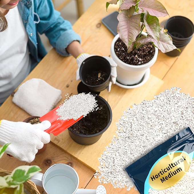 Horticultural Perlite for Plants 2qt, Chunky Perlite Bulk for Gardening, Soil Amendments to Improve Soil Aeration & Dranage for Houseplant
