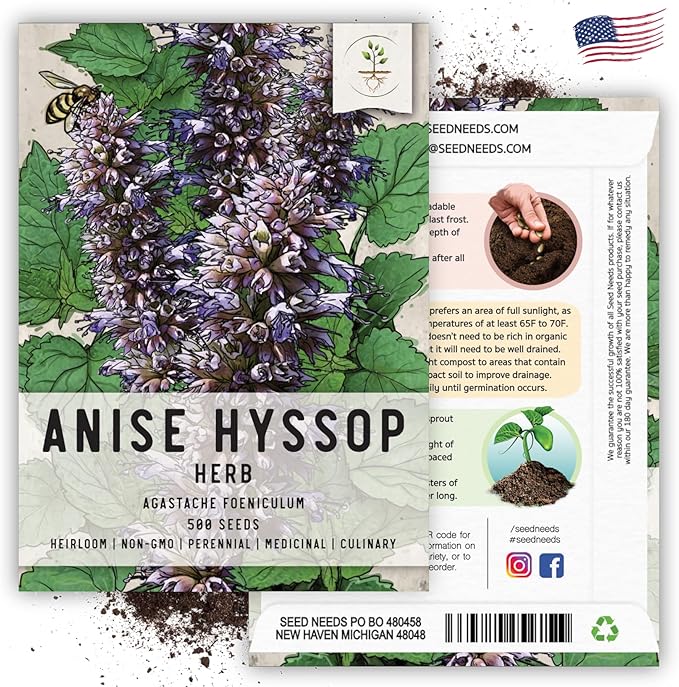 Seed Needs Anise Hyssop Seeds for Planting - Non-GMO, Heirloom & Untreated - Organically Grow a Medicinal/Culinary Herb Garden for Tea & Essential Oils (1 Pack)