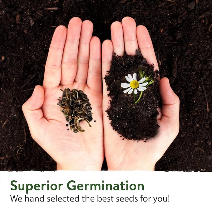 HOME GROWN 58,500+ Wildflower Seeds - Premium Birds & Butterflies Wildflower Seed Mix (2oz) Flower Garden Seeds - Bulk Wild Flowers: 23 Wildflowers Varieties of 100% Non-GMO Annual Flower Seeds