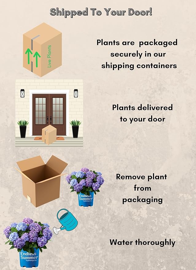 1 Gal. Endless Summer Bloomstruck Hydrangea