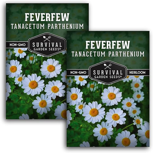 Feverfew Seeds for Planting - 2 Packets with Instructions to Plant and Grow Your Own Bachelor's Buttons in Your Home Vegetable or Herb Garden - Non-GMO Heirloom Variety - Survival Garden Seeds