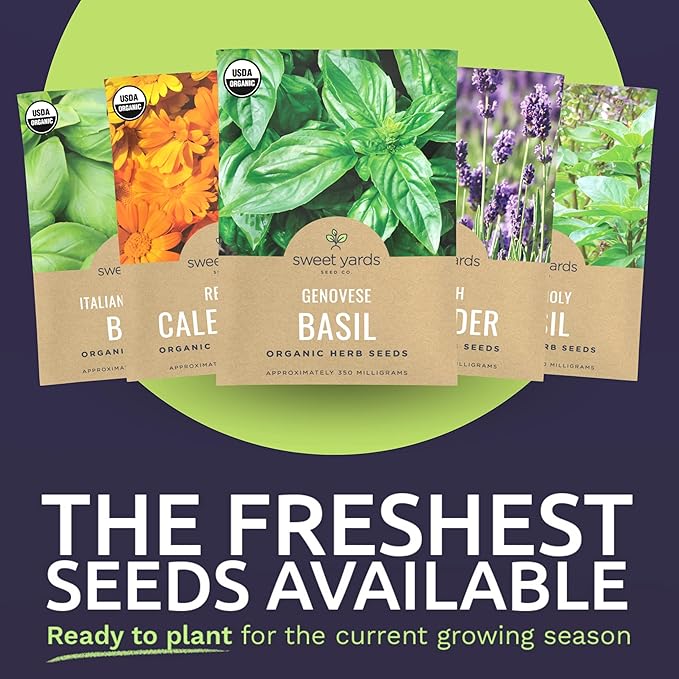 Organic Herb Seeds Variety Pack - 35 Individual Packs - 2025 Season - Basil, Cilantro, Dill, Thyme, Parsley and More! for Indoor & Outdoor Planting (Non-GMO, Certified Organic)