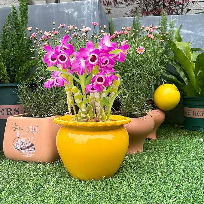 8in Self Waterring Terracotta Planter Yellow Ceramic Pot Maintenance Plant Seeder Planting Flower Pot Design Self Watering Planter for Indoor Plants African Violet Planter Pot