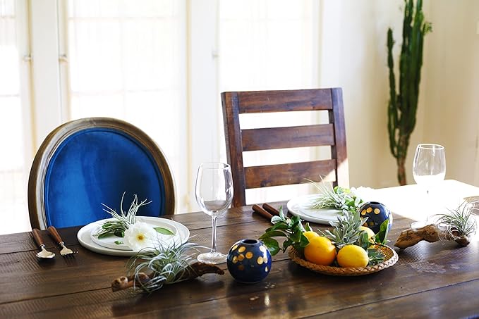 Shop Succulents | Assorted Collection | Variety of Species, Tropical House Plant for Home Décor, DIY Terrariums, 6-Pack