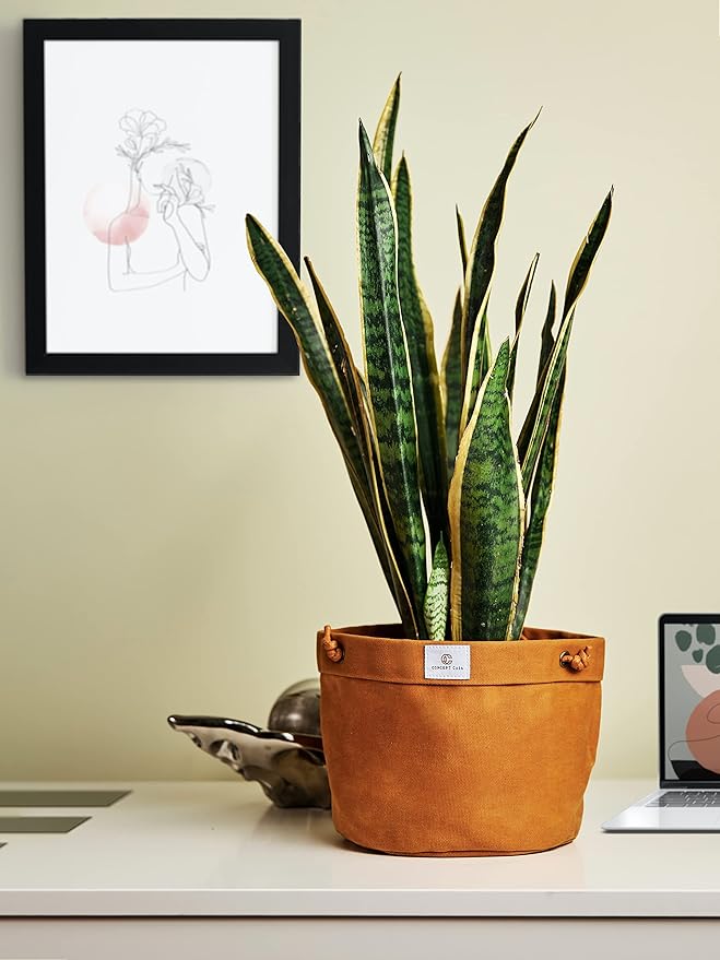 Large Waxed Canvas Handmade Hanging Planter for Indoor/Outdoor Plants, Hanging Basket Plant Holder Dijon Yellow