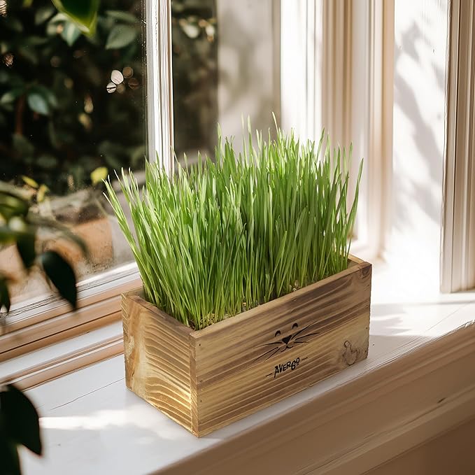 Cat Grass Kit for Indoor Cats – x4 Seed Packets | Cat Grass Seeds with Wooden Planter, Soil & Mini Gardening Tools for Nipping – Pet-Safe Wheatgrass Grass