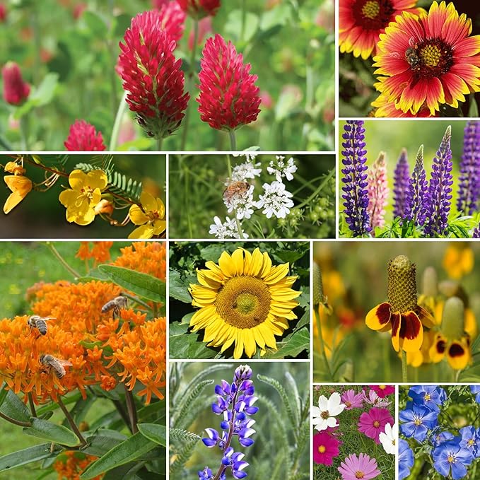 Wildflower Seeds Mix, 2 Oz, 50,000+ Seeds, 28 Varieties Flowers Seeds for Planting, Annual Perennial Garden Seeds to Attract Bees, Butterflies & Birds