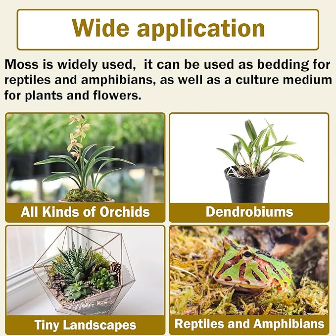 Hourleey 1.1 lb Sphagnum Moss for Plants, Premium Natural Long Fibered Dried Moss Potting, Sphagnum Peat Moss Bulk for Orchids Succulent Carnivorous Potted Plant Reptiles Medium Sarracenia